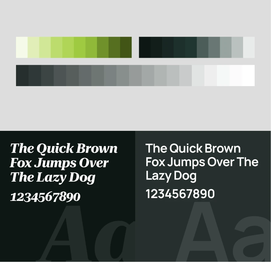 Nexus International brand identity — colour palette and typography